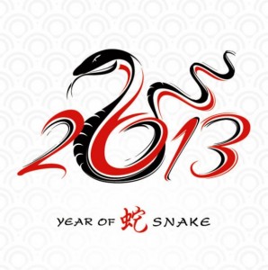 2013 – das Jahr der Wasserschlange